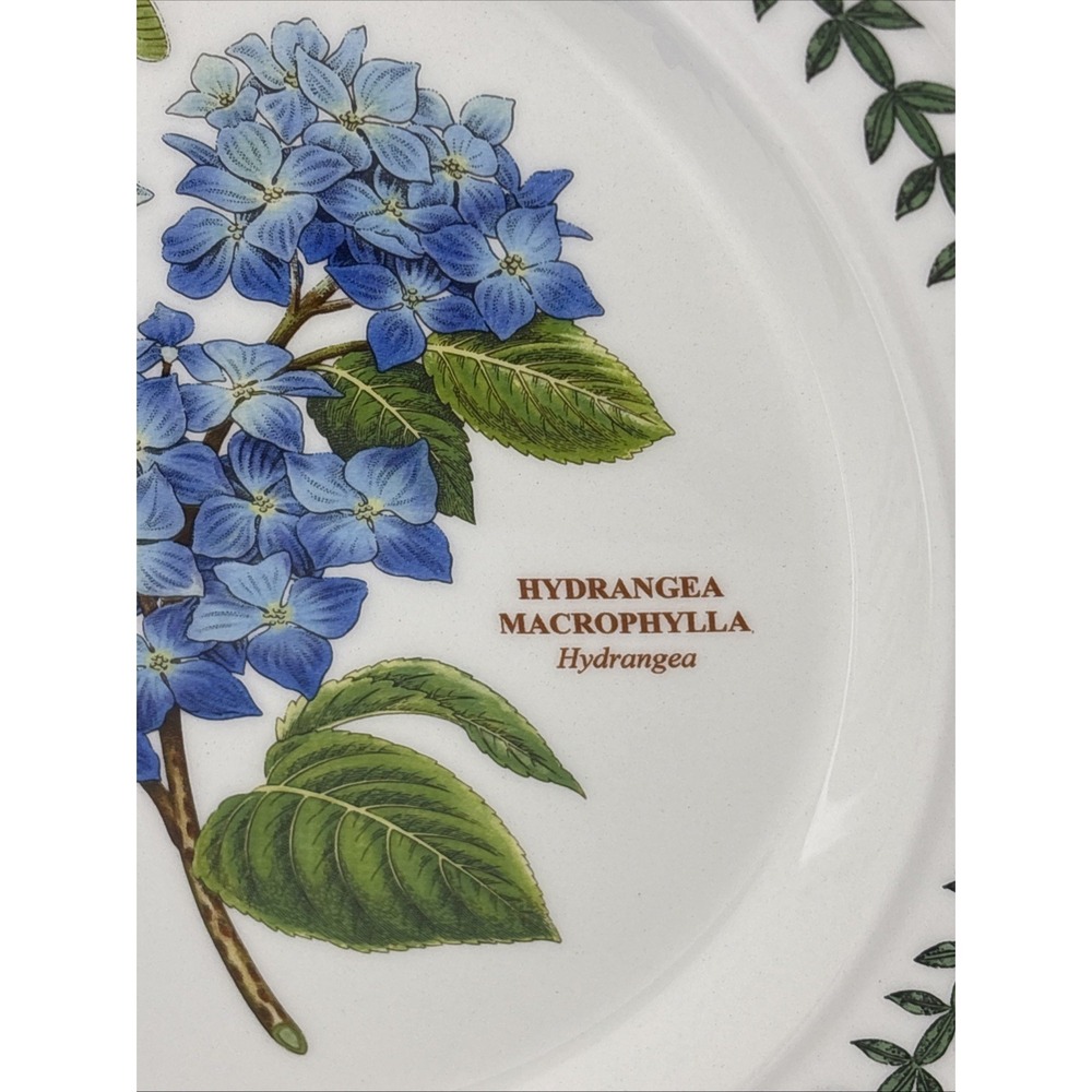 Vintage Portmeirion Botanic Garden Dinner Plate Hydrangea design Leaf border - Picture 2 of 8